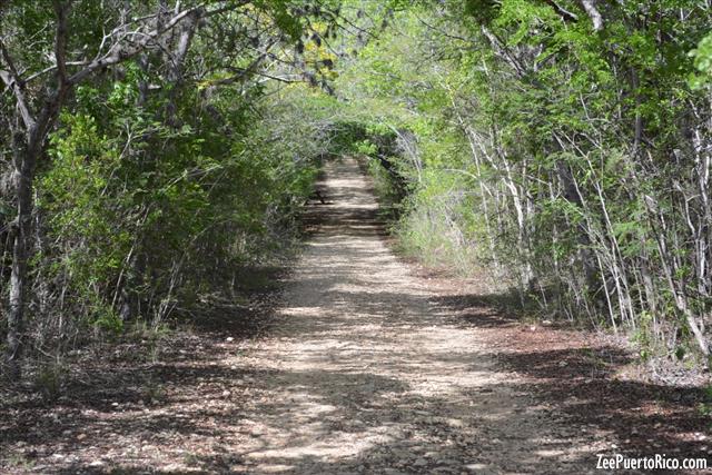 Excursión al Bosque Estatal de Guánica